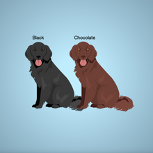 Load image into Gallery viewer, Flat Coated Retriever Bezel Keychain - personalized
