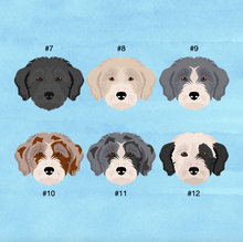Load image into Gallery viewer, Bordoodle (Border Collie/Poodle mix) ID Pet Tag
