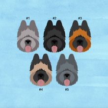 Load image into Gallery viewer, Briard ID Pet Tag
