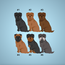 Load image into Gallery viewer, Affenpinscher &#39;My Dog is My Valentine&#39; 100% cotton t-shirt customized
