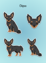Load image into Gallery viewer, Chipoo (Chihuahua/Poodle mix) Vinyl Sticker Set
