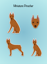 Load image into Gallery viewer, Miniature Pinscher (cropped ears docked tail) Vinyl Sticker Set
