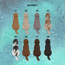 Load image into Gallery viewer, Barbet Northern Lights Ornament
