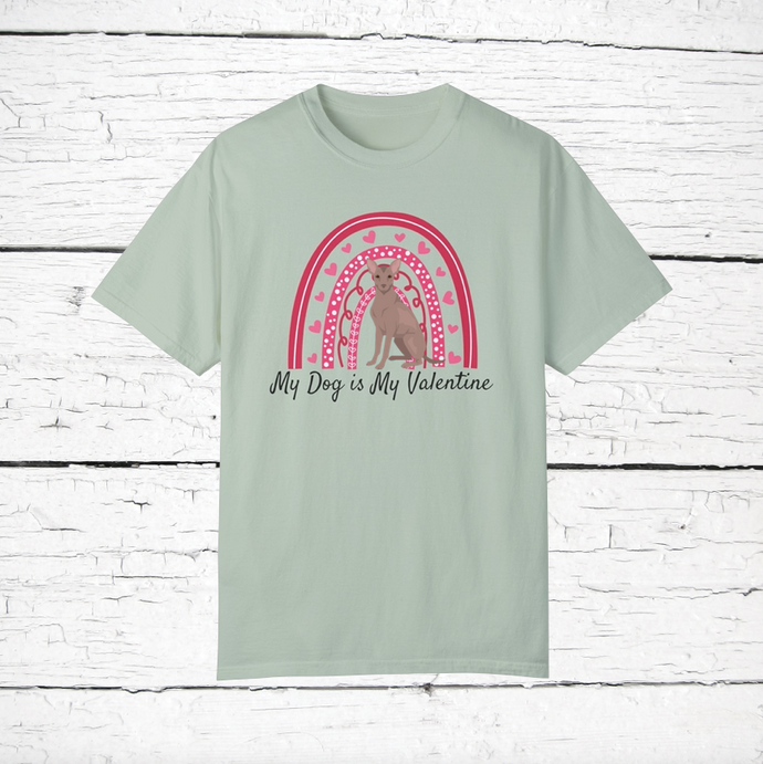 Xoloitzcuintle 'My Dog is My Valentine' 100% cotton t-shirt customized