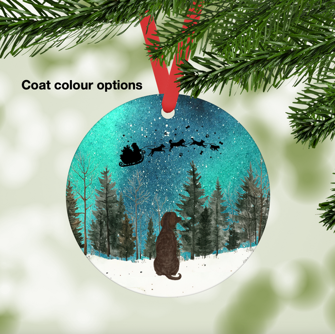 American Water Spaniel Northern Lights Ornament