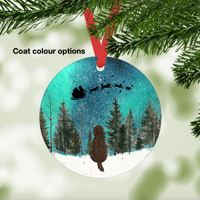 Barbet Northern Lights Ornament