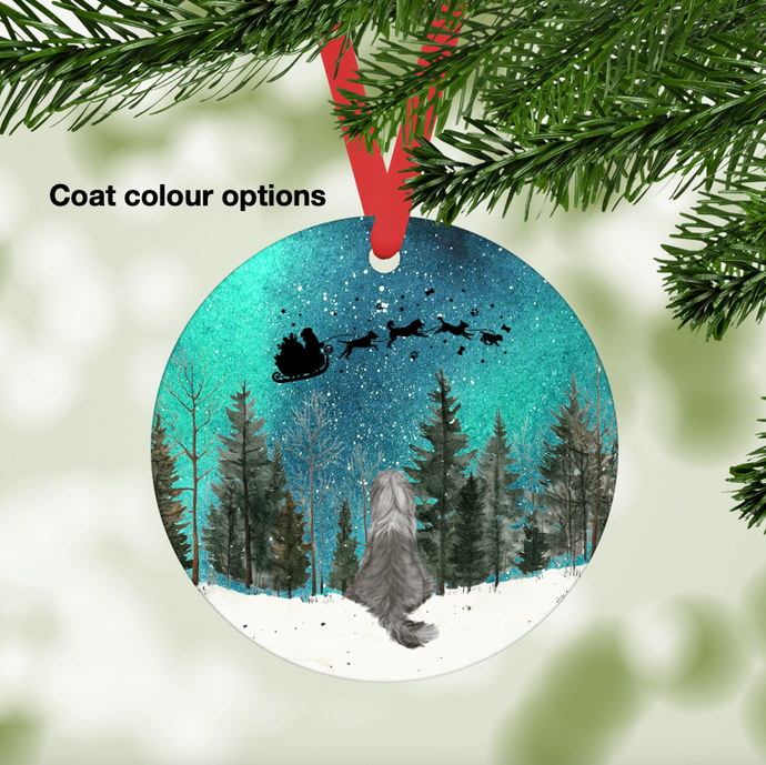 Bearded Collie Northern Lights Ornament