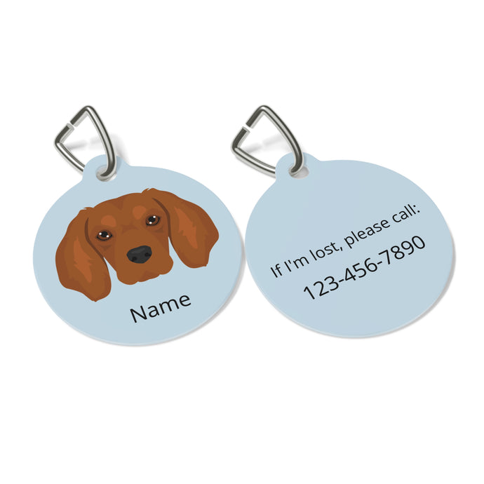 Golden Cavalier (Golden Retreiver/Cavalier mix) ID Pet Tag
