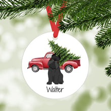 Load image into Gallery viewer, Brussels Griffon ornament personalized
