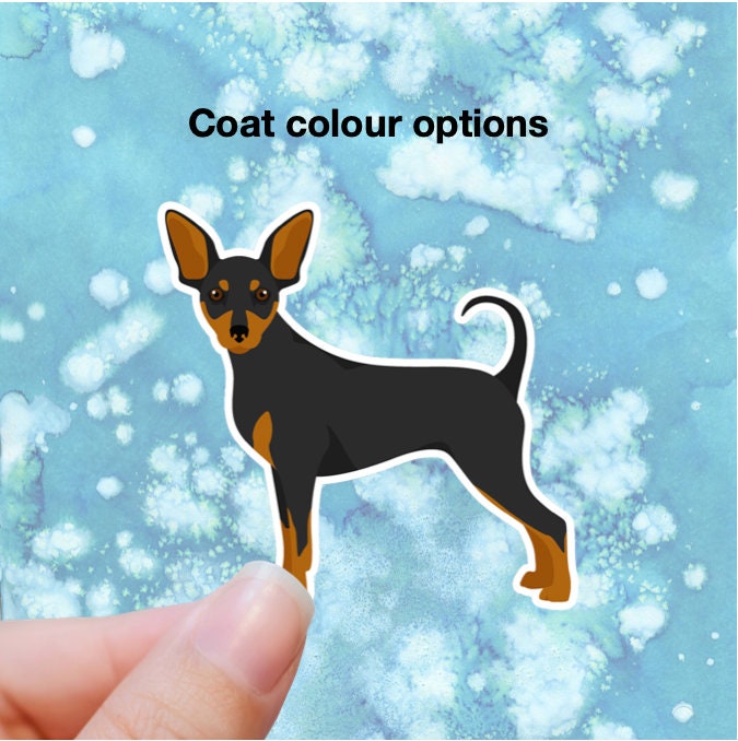 Miniature Pinscher Vinyl Sticker Set