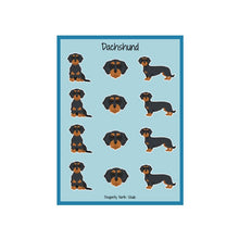 Load image into Gallery viewer, Dachshund (wirehaired) Vinyl Sticker Sheet
