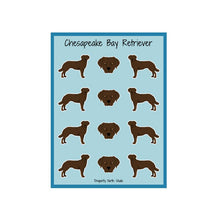 Load image into Gallery viewer, Chesapeake Bay Retriever Vinyl Sticker Sheet
