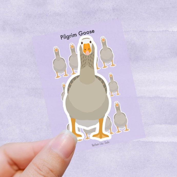 Pilgrim Goose vinyl sticker sheet