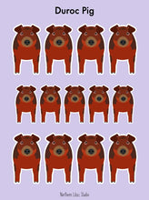 Load image into Gallery viewer, Duroc Pig vinyl sticker sheet
