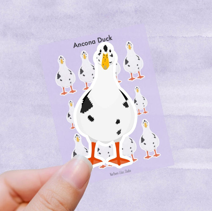 Ancona duck vinyl sticker sheet