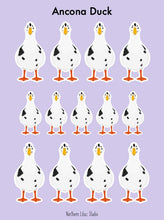 Load image into Gallery viewer, Ancona duck vinyl sticker sheet
