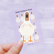 Load image into Gallery viewer, Welsh Harlequin duck vinyl sticker sheet
