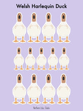 Load image into Gallery viewer, Welsh Harlequin duck vinyl sticker sheet
