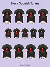 Load image into Gallery viewer, Black Spanish Turkey vinyl sticker sheet
