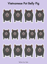 Load image into Gallery viewer, Vietnamese Pot Belly Pig vinyl sticker sheet
