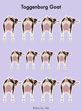 Load image into Gallery viewer, Toggenburg Goat vinyl sticker sheet
