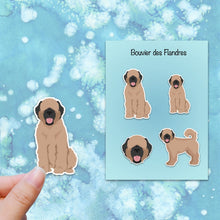 Load image into Gallery viewer, Bouvier des Flandres (natural) Vinyl Sticker Set
