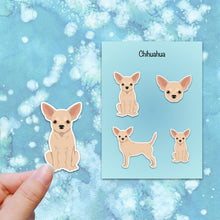 Load image into Gallery viewer, Chihuahua (shorthair) Vinyl Sticker Set
