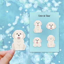 Load image into Gallery viewer, Coton de Tulear Vinyl Sticker Set
