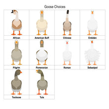 Load image into Gallery viewer, Goose Lover&#39;s Tote Bag personalized
