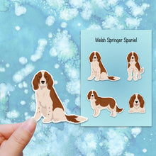 Load image into Gallery viewer, Welsh Springer Spaniel Vinyl Sticker Set
