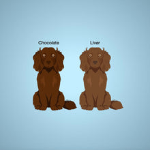 Load image into Gallery viewer, Boykin Spaniel tote bag personalized
