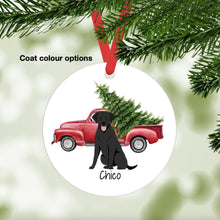 Load image into Gallery viewer, Curly Coated Retriever ornament personalized
