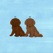 Load image into Gallery viewer, Boykin Spaniel puppy ornament personalized
