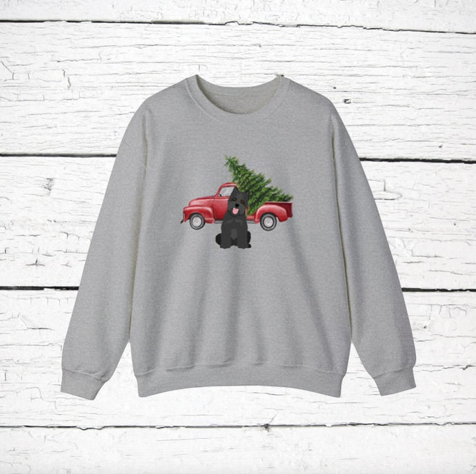 Cairn Terrier Red Truck Sweatshirt