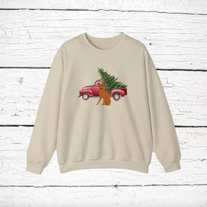 Miniature Pinscher (tipped ears) Red Truck Sweatshirt