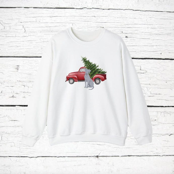 Blue Lacy Red Truck Sweatshirt