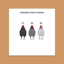 Load image into Gallery viewer, Australorp chicken sticker set - chicken sticker sheets - chicken breed stickers

