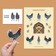 Load image into Gallery viewer, Delaware Blue chicken sticker set - chicken sticker sheets - chicken breed stickers
