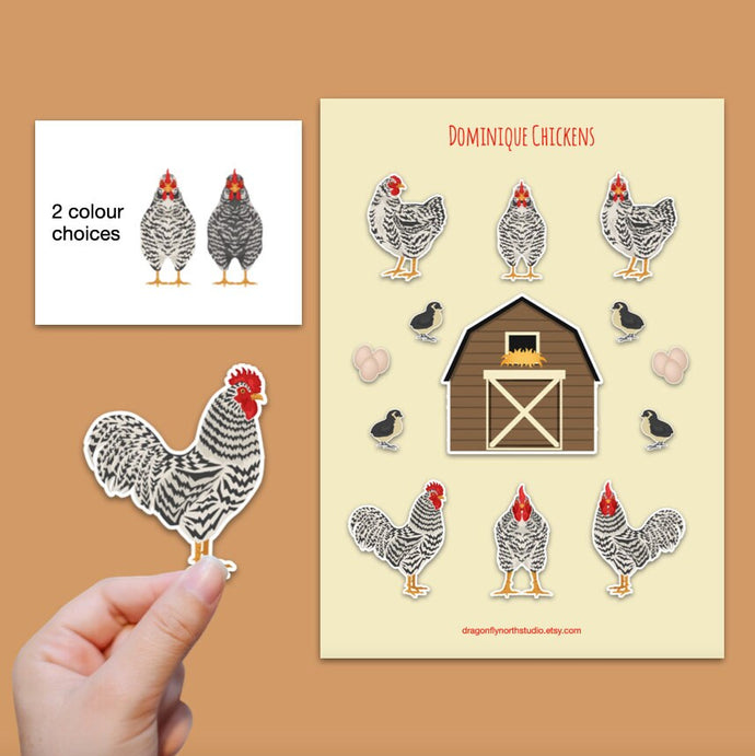 Dominique chicken sticker set - chicken sticker sheets - chicken breed stickers