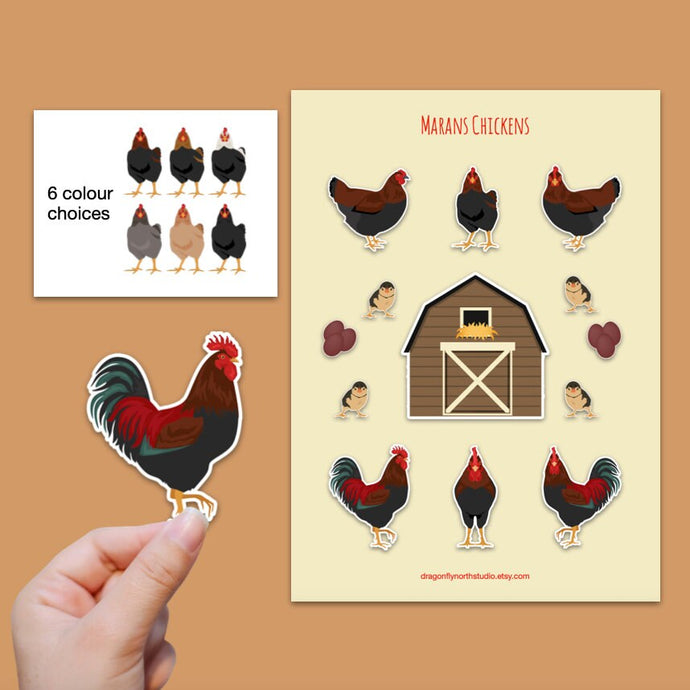 Marans chicken sticker set - chicken sticker sheets - chicken breed stickers
