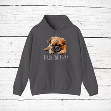Load image into Gallery viewer, Brussels Griffon "Ready for a Nap" Hooded Sweatshirt
