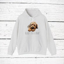 Load image into Gallery viewer, Briard "Ready for a Nap" Hooded Sweatshirt
