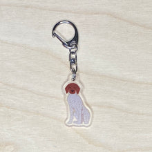 Load image into Gallery viewer, German Shorthaired Pointer acrylic zipper pull
